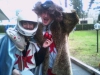 foto0188[1]